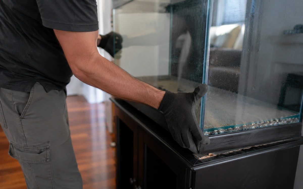 Aquarium relocation contractor